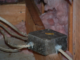 Attic Wiring Damage from a Squirrel